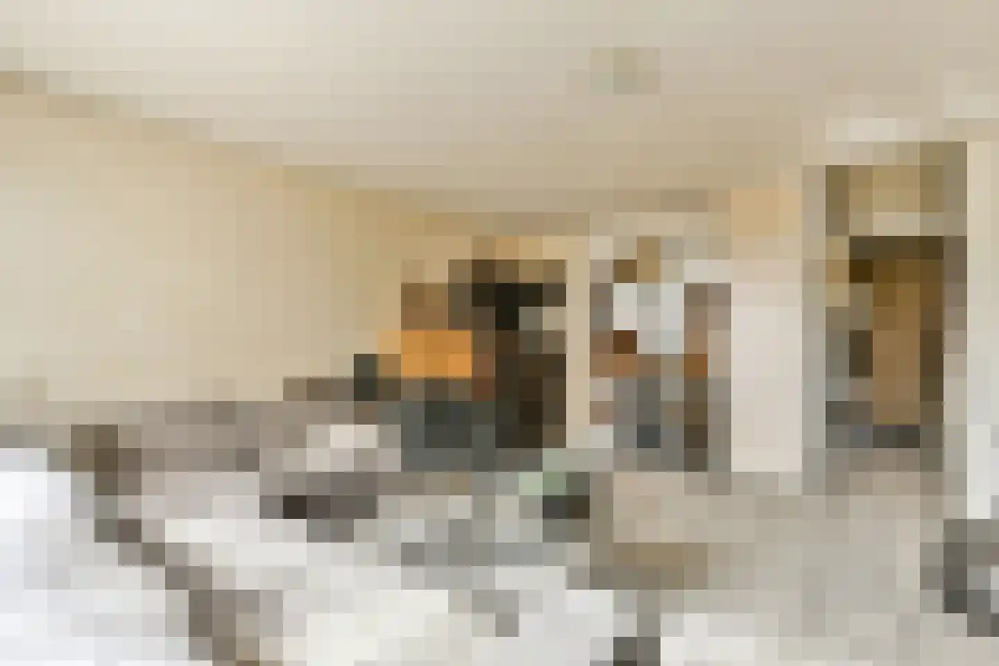 Meentstraat 55 Amsterdam thumbnail 5