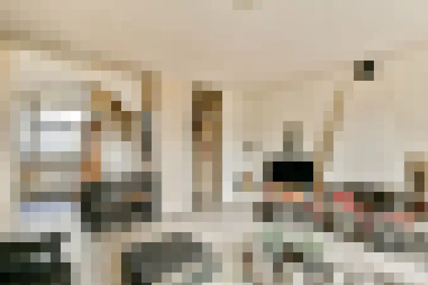 Meentstraat 55 Amsterdam thumbnail 6