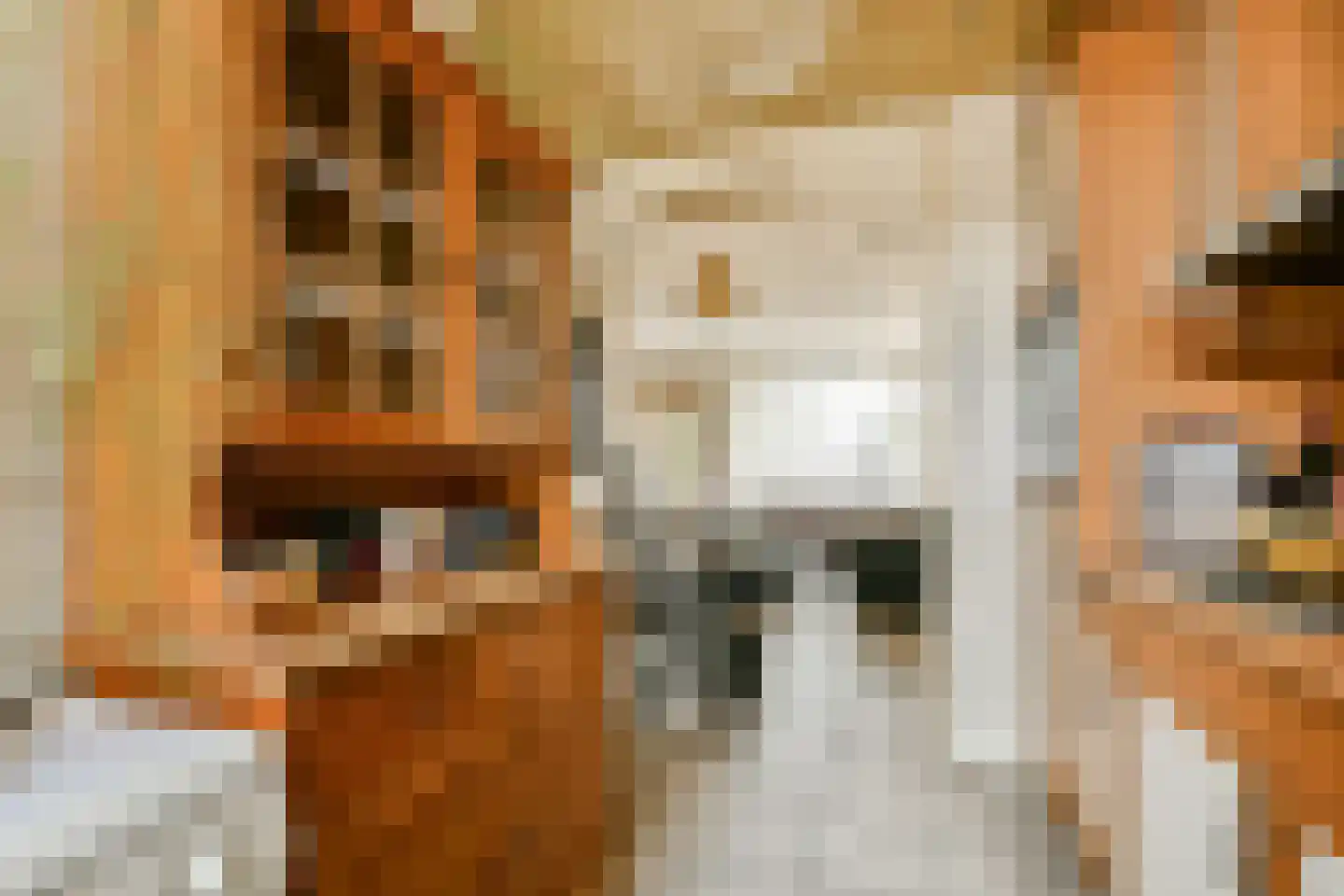 Meentstraat 55 Amsterdam thumbnail 9