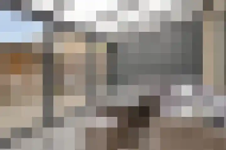 Meentstraat 59 Amsterdam thumbnail 10