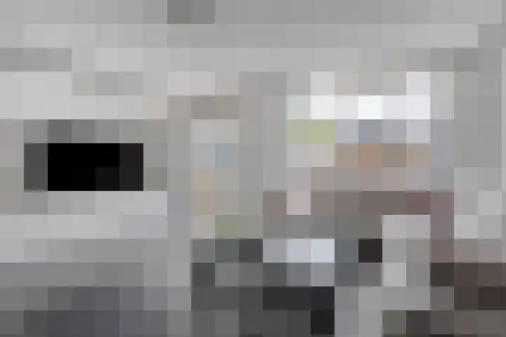 Meentstraat 59 Amsterdam thumbnail 4