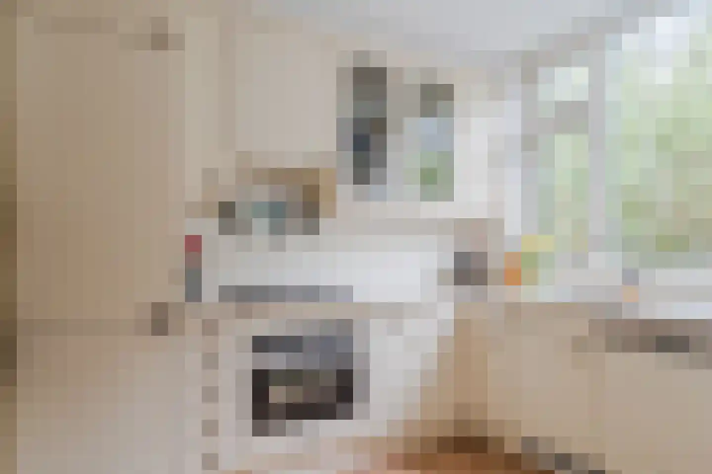 Meentstraat 7 Amsterdam thumbnail 24