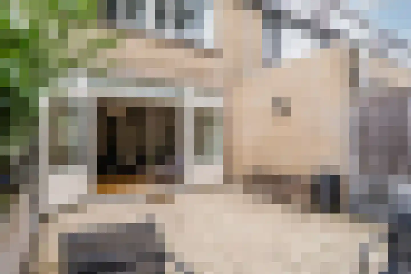 Meentstraat 7 Amsterdam thumbnail 45