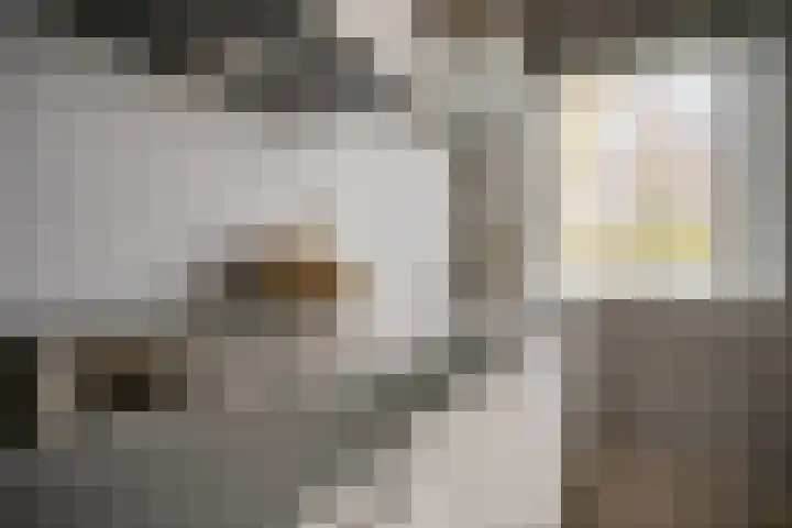 Meentwal 1 C Nieuwegein thumbnail 12