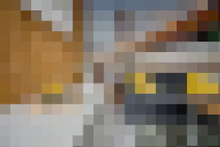 Meentwal 1 C Nieuwegein thumbnail 16