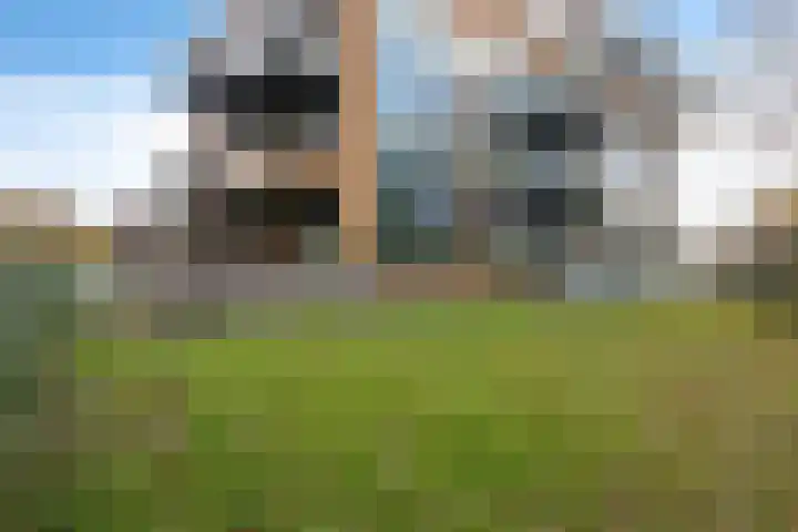 Meentwal 1 C Nieuwegein thumbnail 24