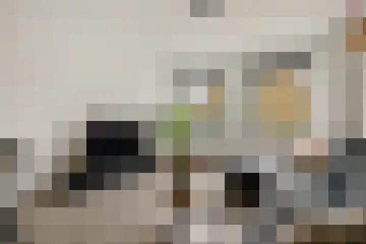Meentwal 3 E Nieuwegein thumbnail 11