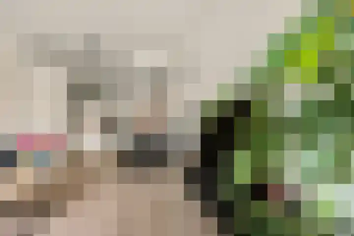 Meentwal 3 E Nieuwegein thumbnail 12