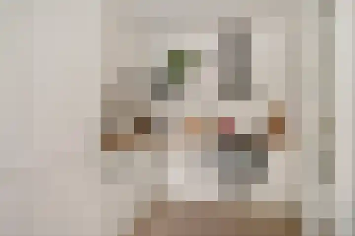 Meentwal 3 E Nieuwegein thumbnail 16