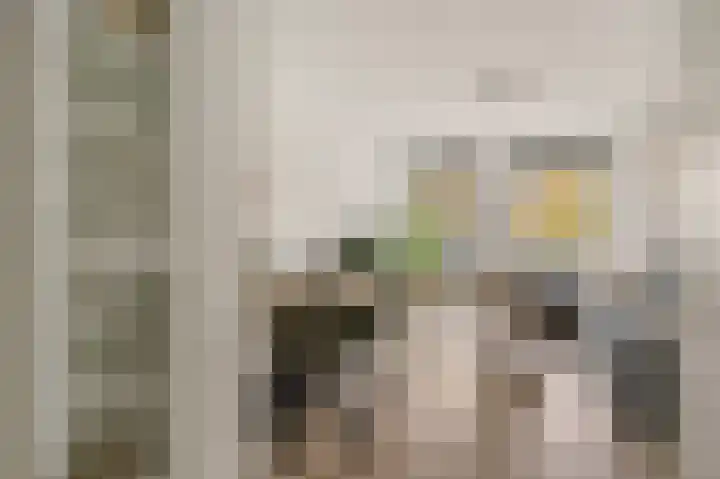 Meentwal 3 E Nieuwegein thumbnail 18
