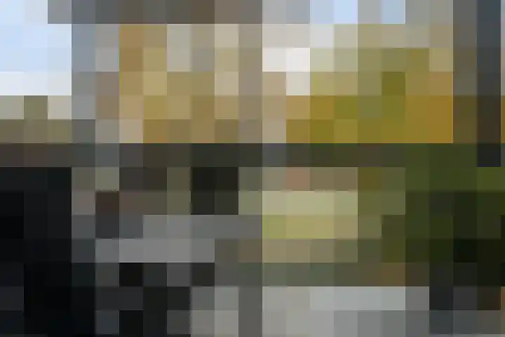 Meentwal 3 E Nieuwegein thumbnail 21