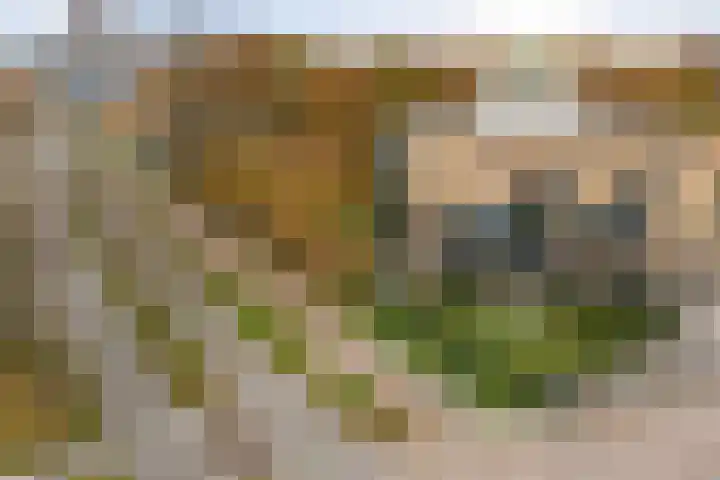 Meentwal 3 E Nieuwegein thumbnail 25