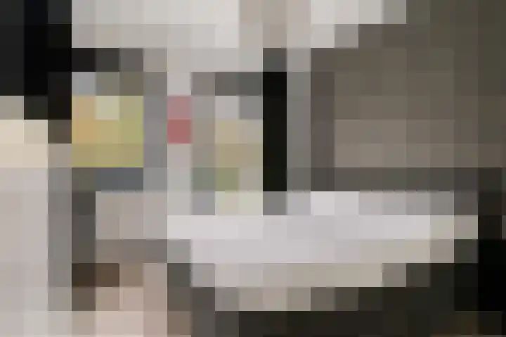 Meentwal 3 E Nieuwegein thumbnail 8