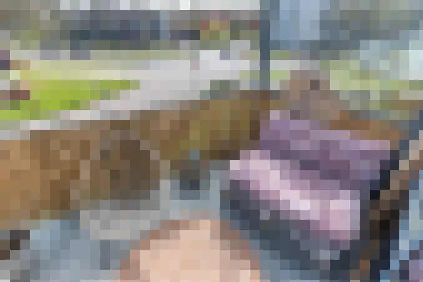 Meentwal 3 H Nieuwegein thumbnail 10