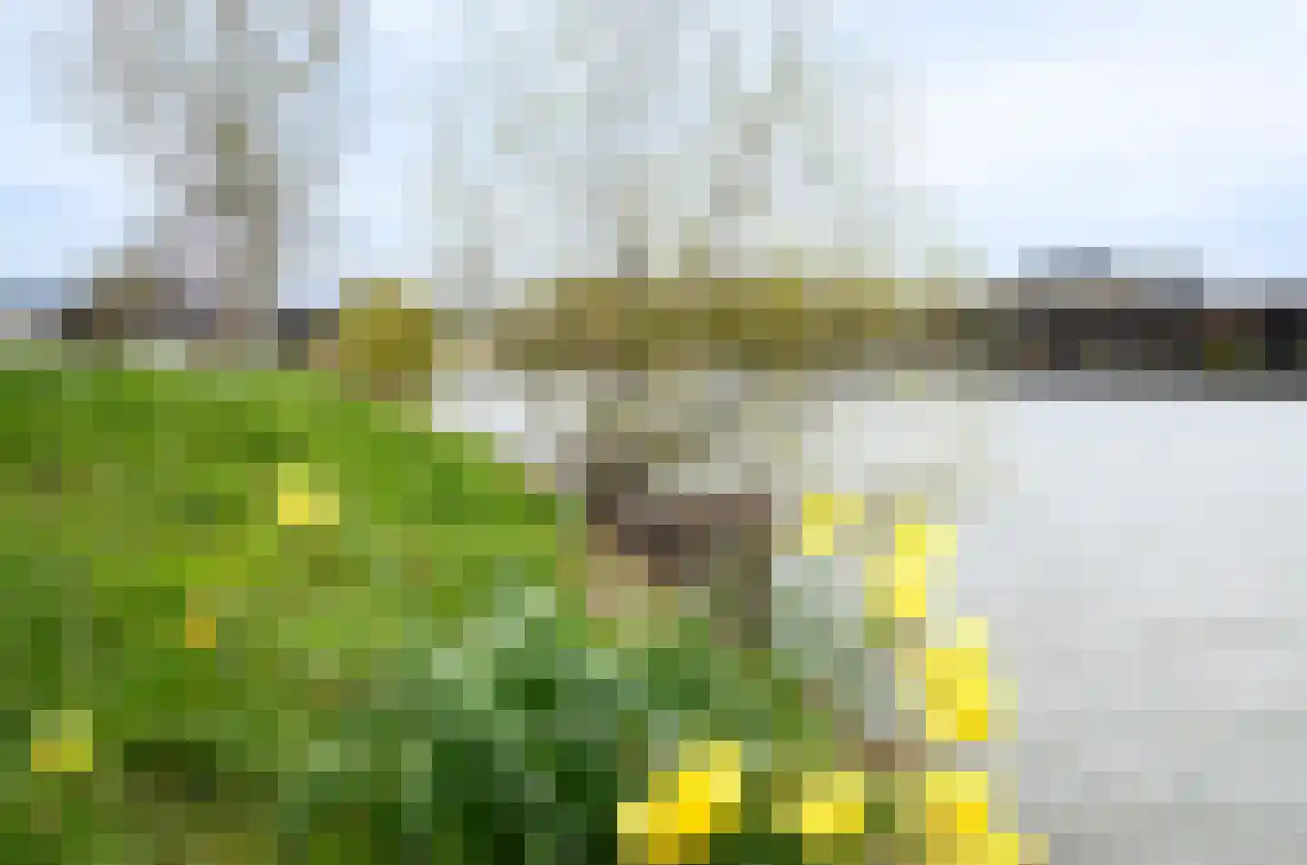 Meentwal 3 H Nieuwegein thumbnail 29
