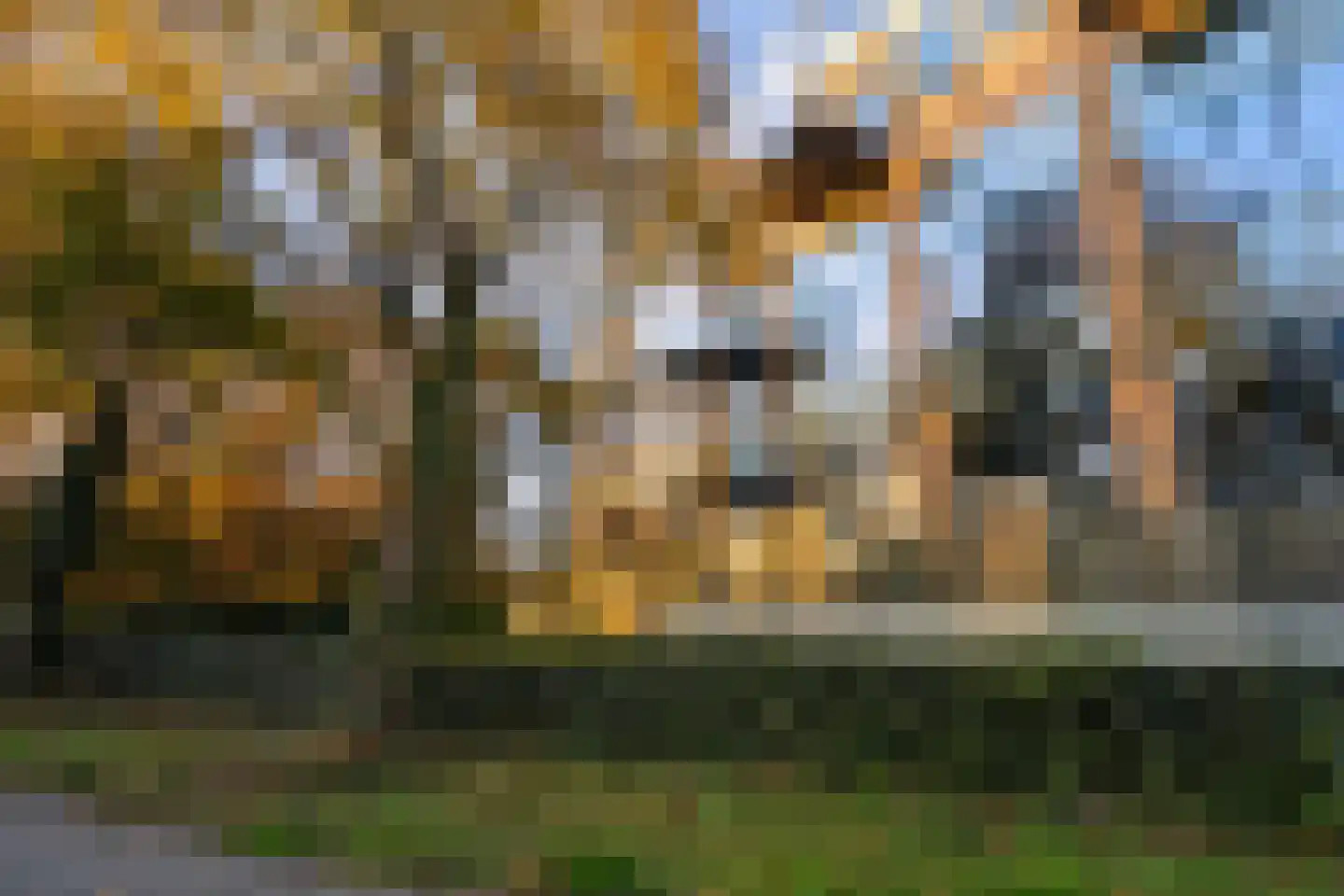 Meentwal 5 E Nieuwegein thumbnail 40