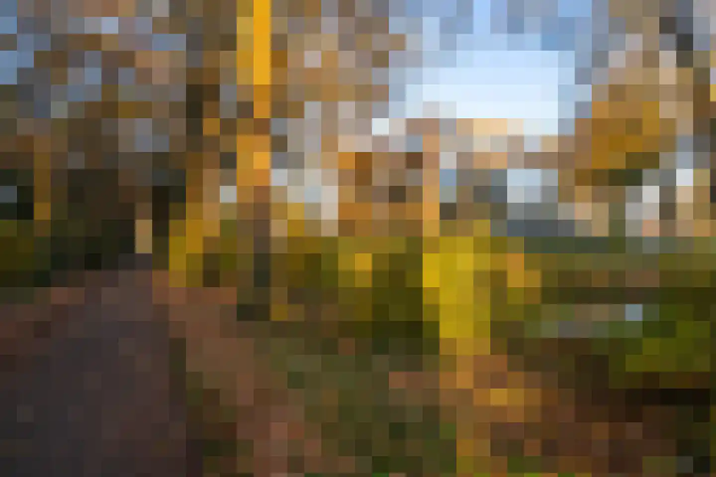 Meentwal 5 E Nieuwegein thumbnail 45