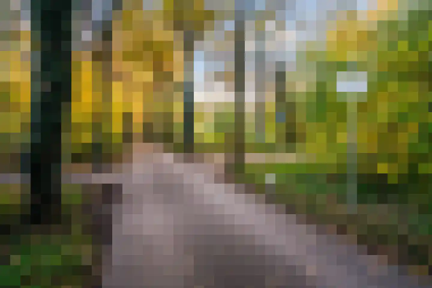 Meentwal 5 E Nieuwegein thumbnail 48