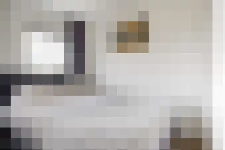 Meentwal 7 G Nieuwegein thumbnail 11