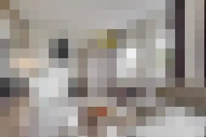 Meentwal 7 G Nieuwegein thumbnail 6