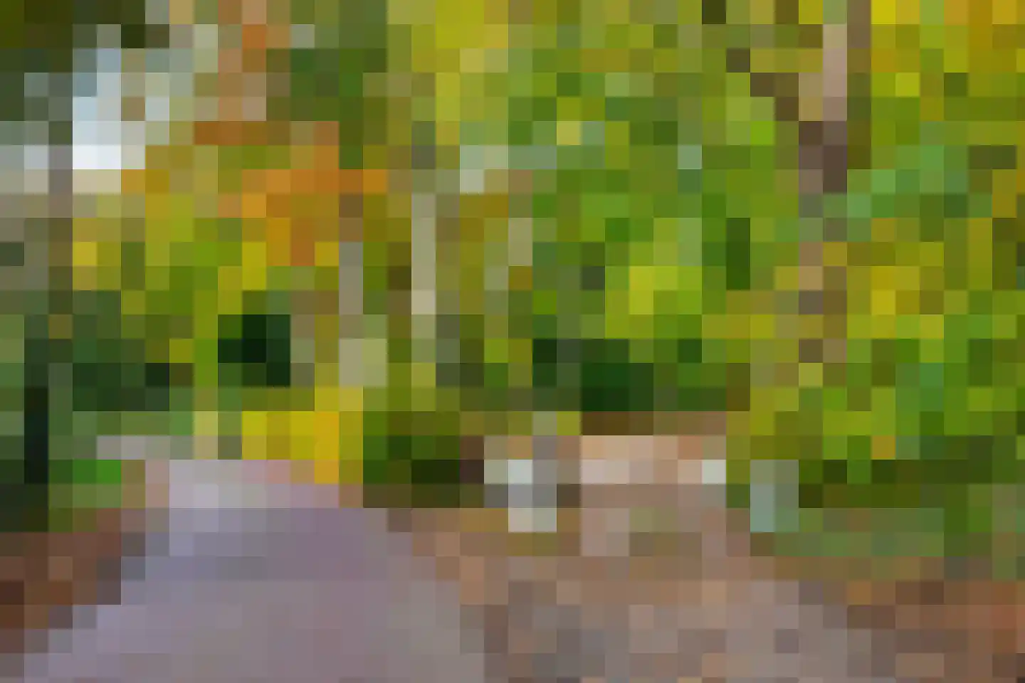 Meentweg 1 A Naarden thumbnail 20