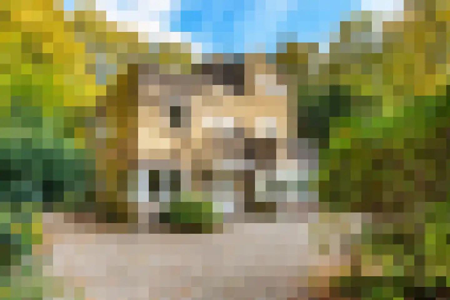 Meentweg 1 A Naarden thumbnail 24