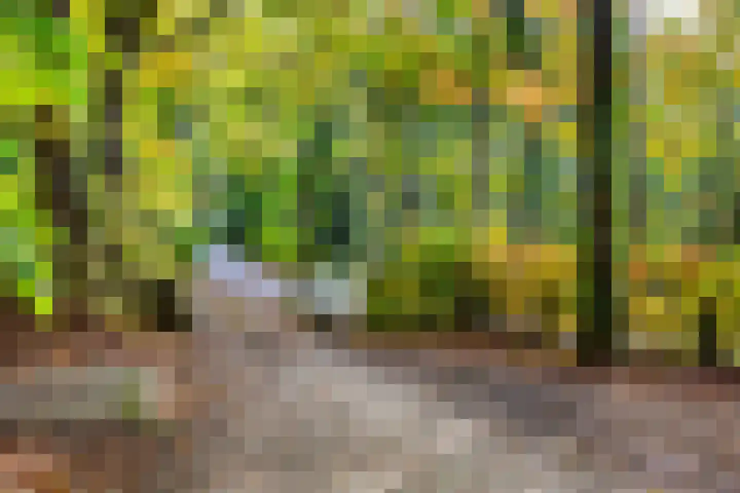 Meentweg 1 A Naarden thumbnail 28