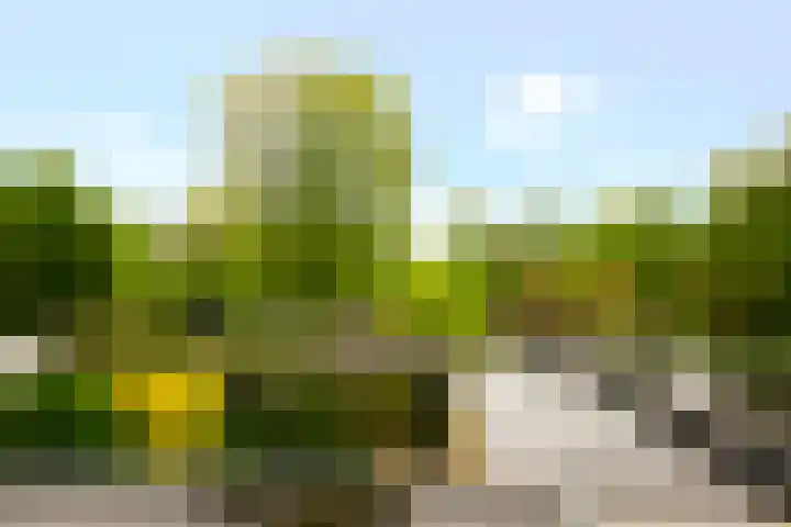 Meentweg 112 De Meern thumbnail 25