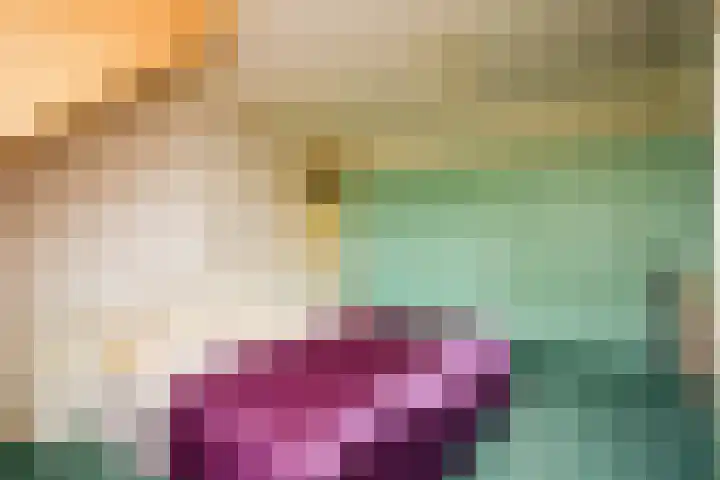Meentweg 112 De Meern thumbnail 30