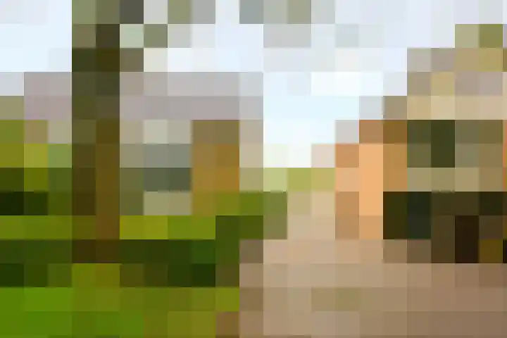Meentweg 112 De Meern thumbnail 32