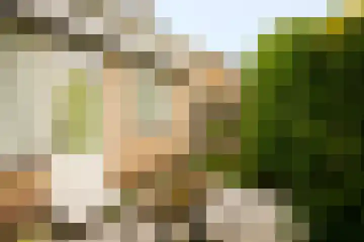 Meentweg 112 De Meern thumbnail 35