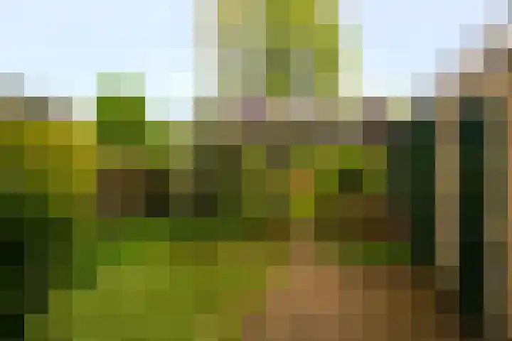 Meentweg 112 De Meern thumbnail 36
