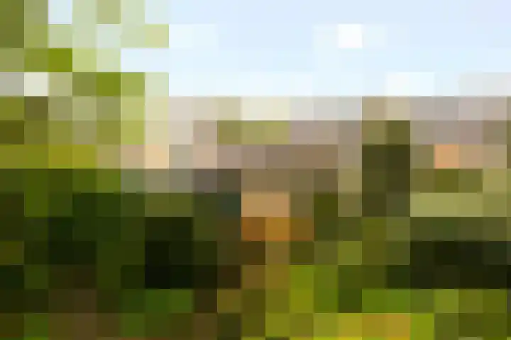 Meentweg 112 De Meern thumbnail 40