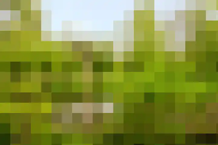 Meentweg 112 De Meern thumbnail 45