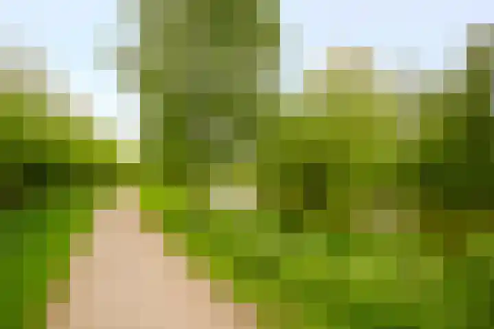 Meentweg 112 De Meern thumbnail 47