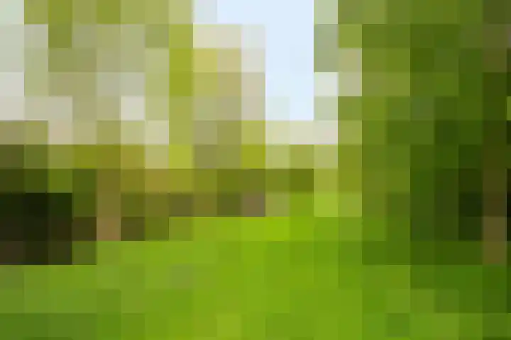 Meentweg 112 De Meern thumbnail 48