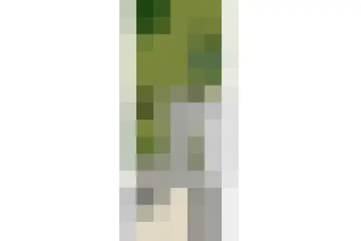 Meentweg 112 De Meern thumbnail 56