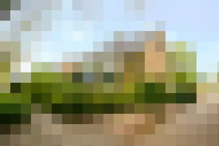 Meentweg 112 De Meern thumbnail 60