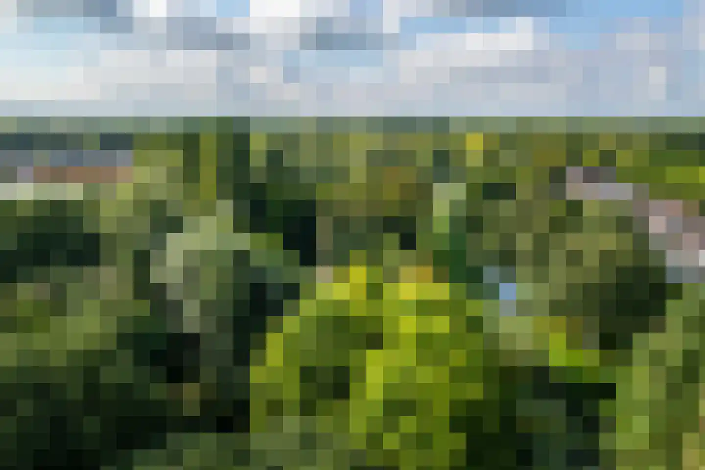 Meentweg 128 De Meern thumbnail 57