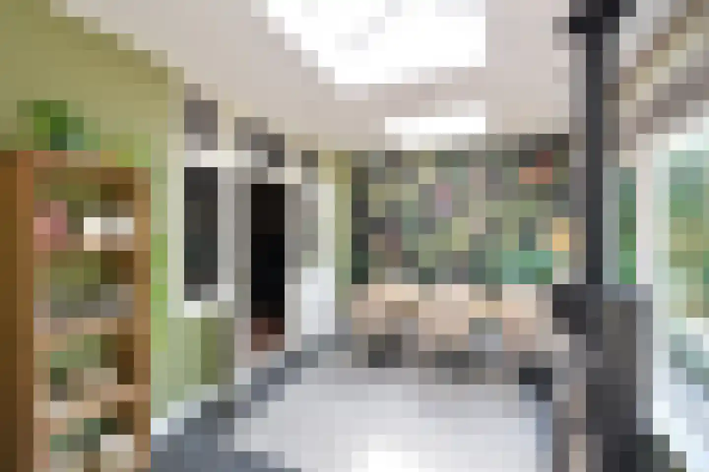 Meentweg 15 Blaricum thumbnail 13