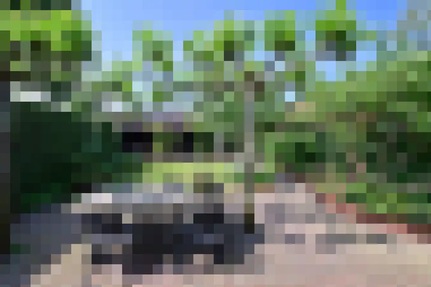Meentweg 15 Blaricum thumbnail 29