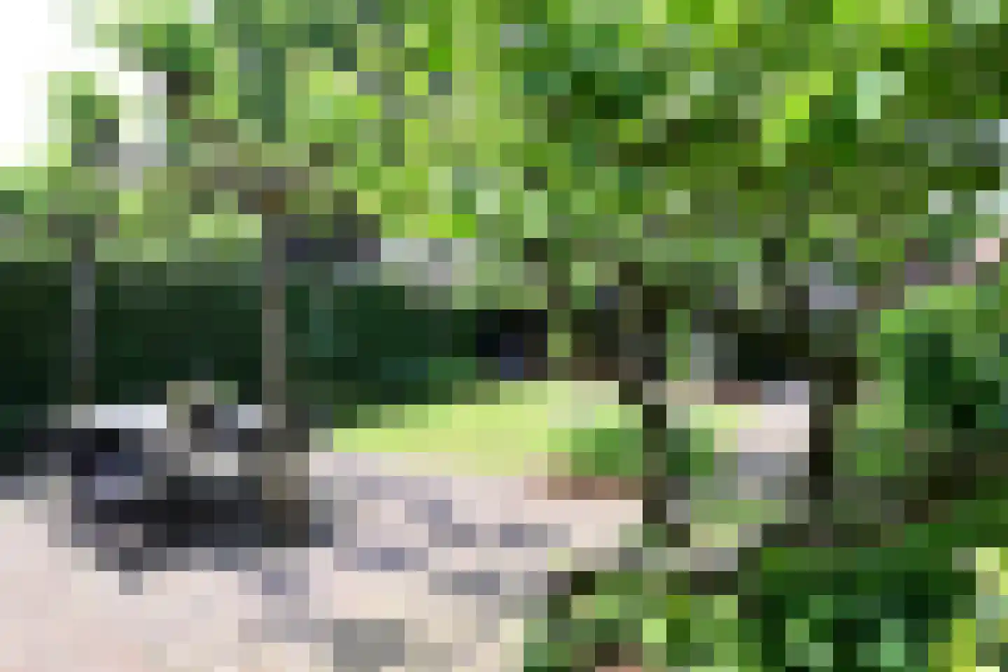 Meentweg 15 Blaricum thumbnail 30