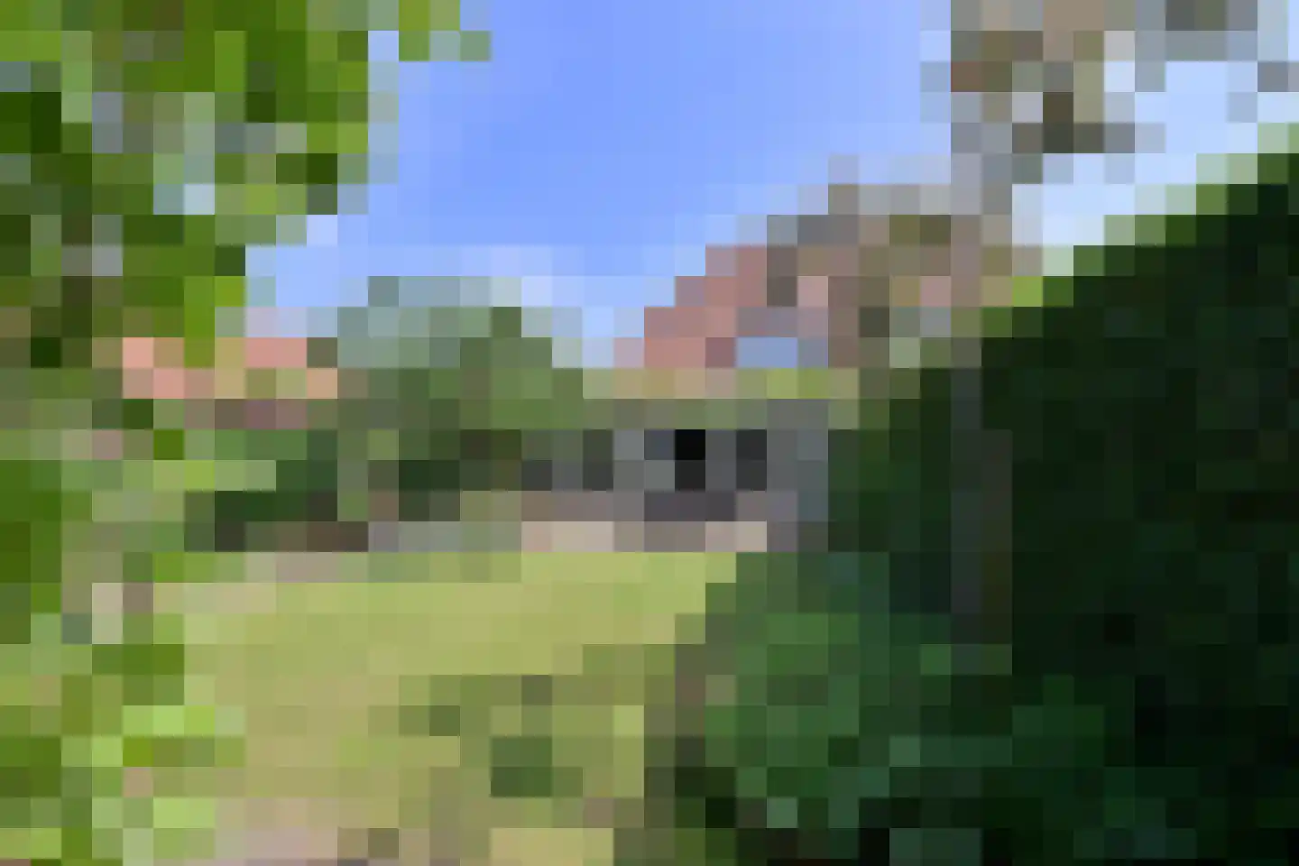 Meentweg 15 Blaricum thumbnail 32