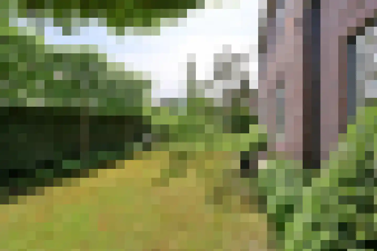 Meentweg 15 Blaricum thumbnail 37