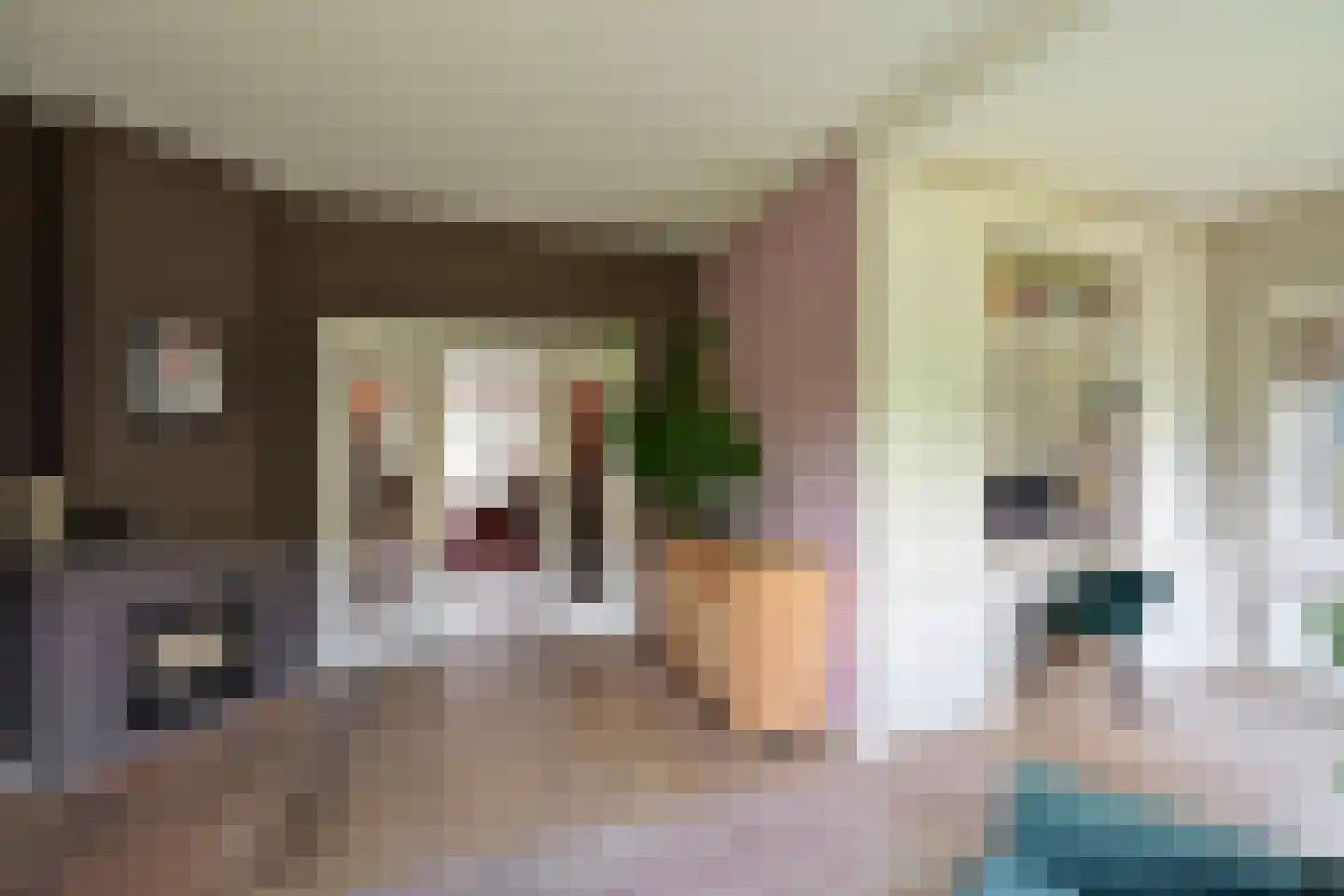 Meentweg 15 Blaricum thumbnail 8