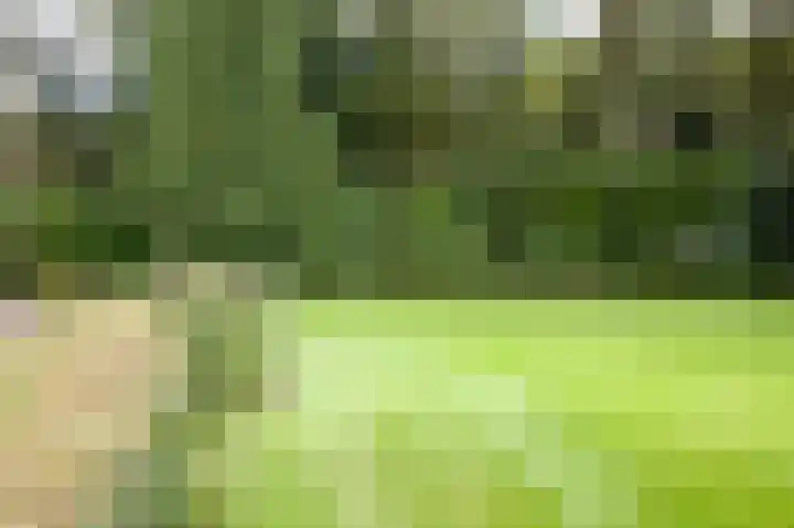 Meentweg 16 A Naarden thumbnail 16
