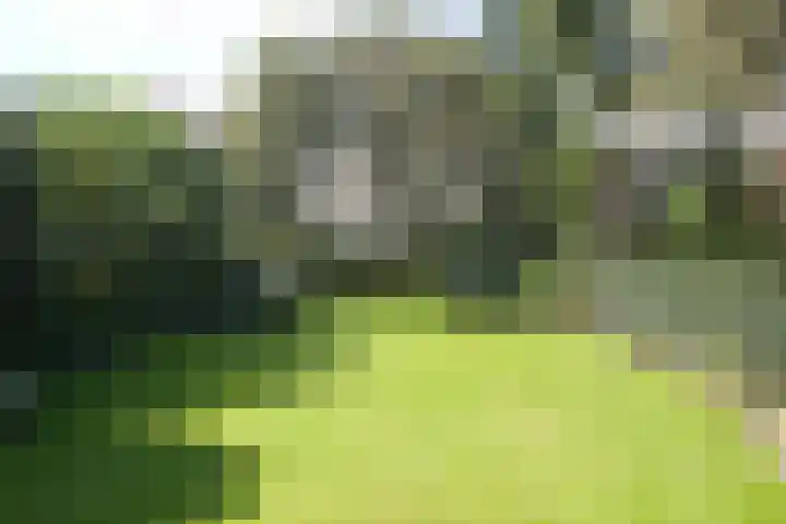 Meentweg 16 A Naarden thumbnail 17