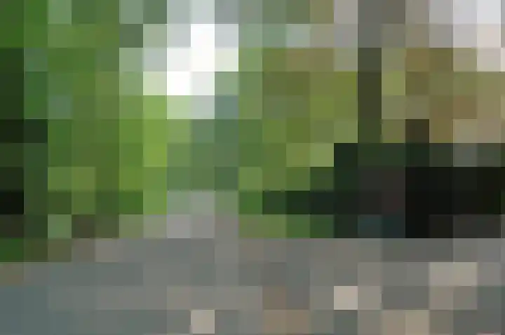 Meentweg 16 A Naarden thumbnail 38