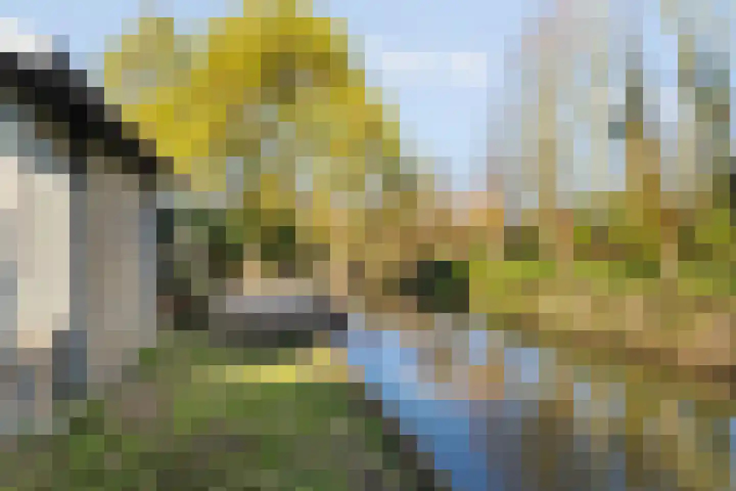 Meentweg 18 De Meern thumbnail 37