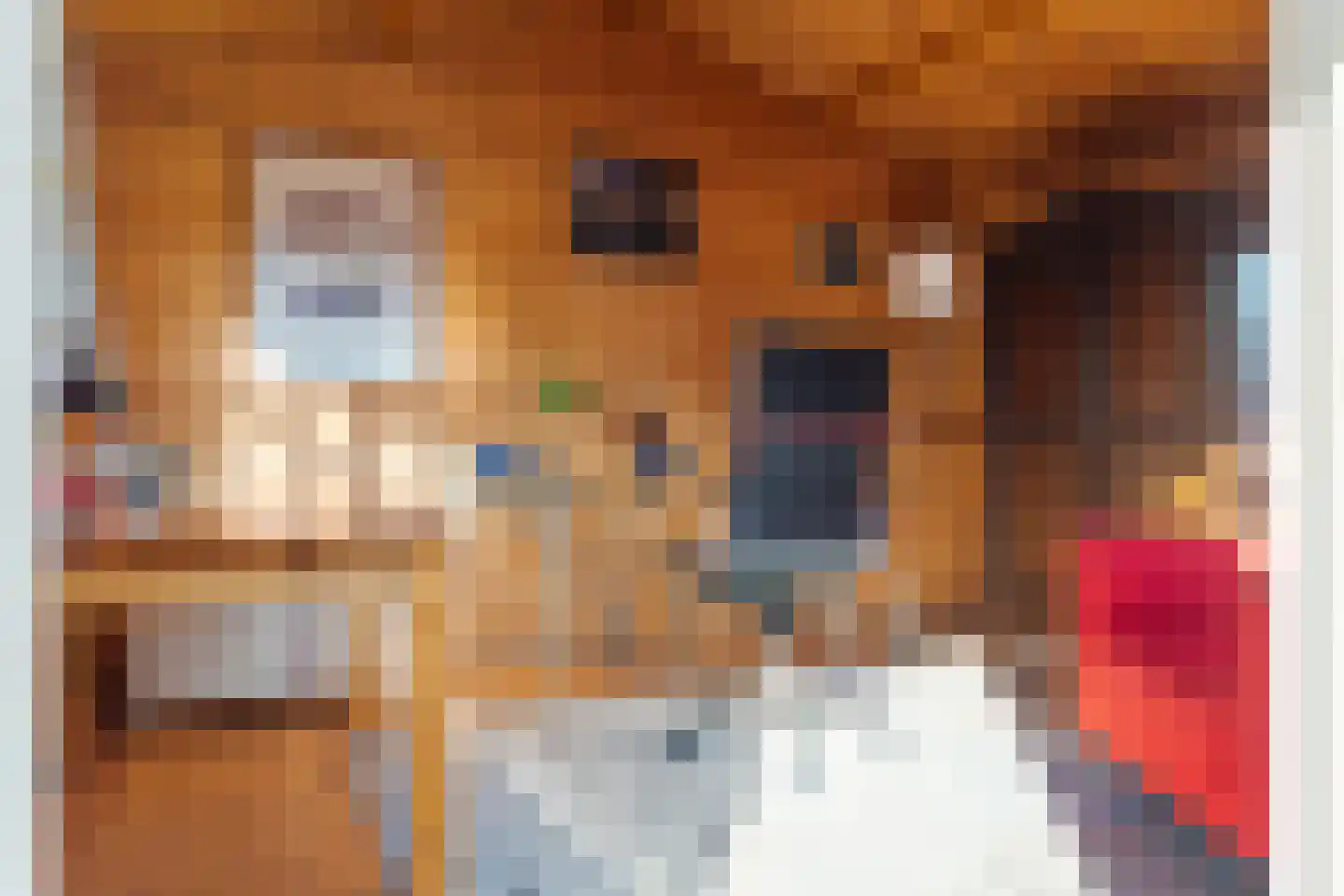 Meentweg 18 De Meern thumbnail 38